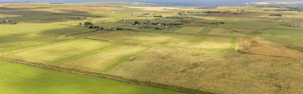 Versatile Caithness farm extending to 122 acres: Glenburnie Farm, Galbraith (4)