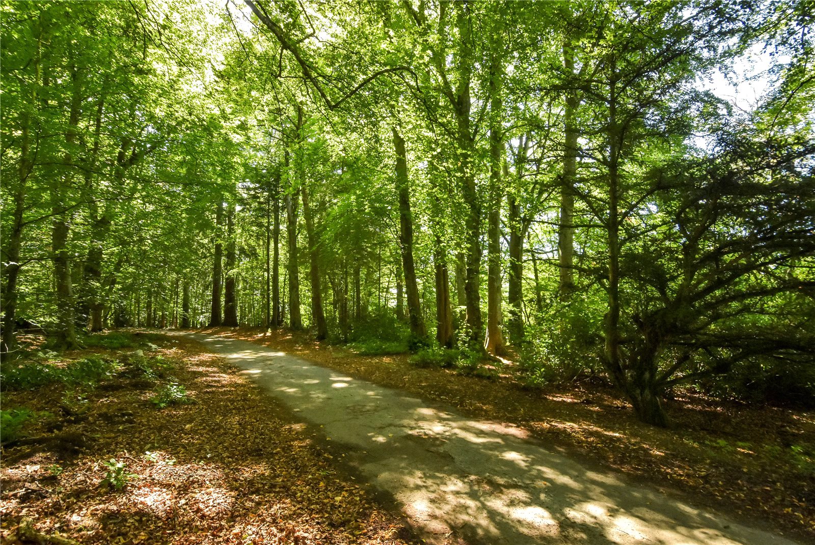 Driveway