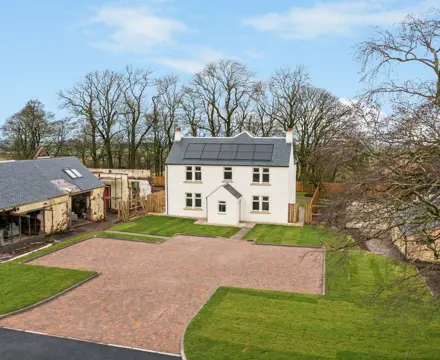 Ayrshire’s Spring Story Begins Early: What We’re Seeing on the Ground: DJI 0745