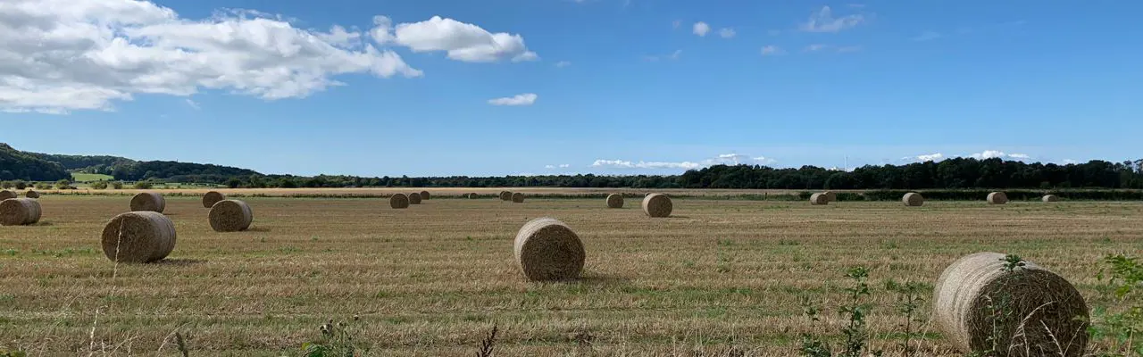 Galbraith Surveyor appointed Vice Chair of NFU South Ayrshire branch: NFU Ayrshire | Galbraith | Alice Wilson