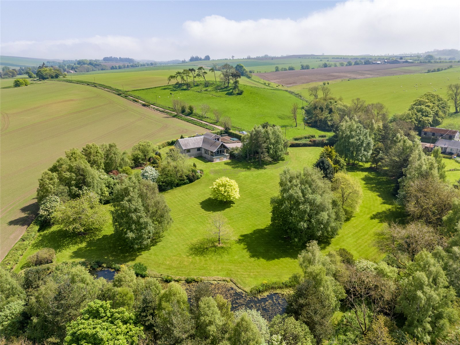 Aerial 4