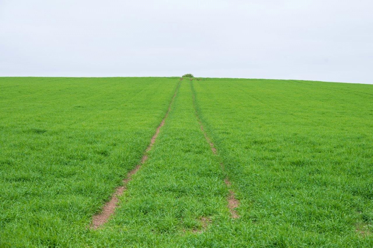 Land