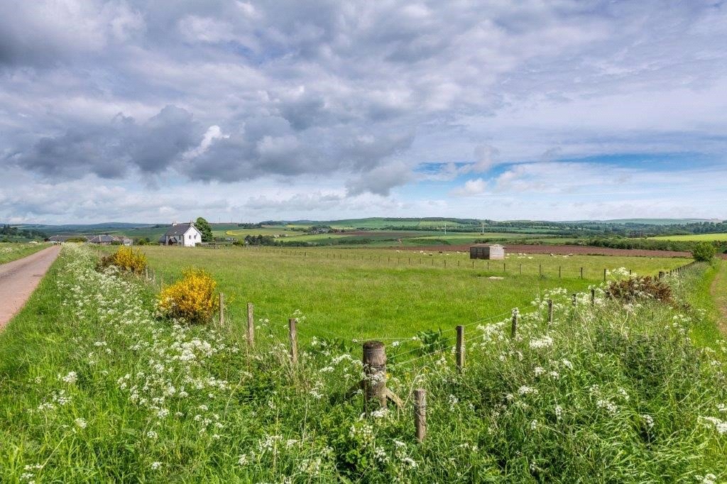Paddocks