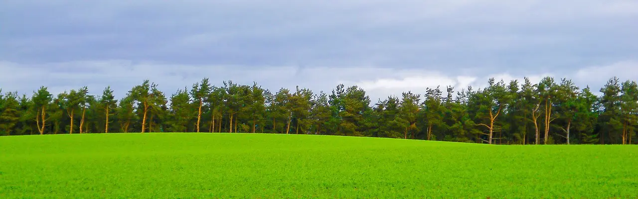 Natural capital update: Will Land Reform be a barrier to investment in Scotland?: Land | Galbraith | Natural Capital Update