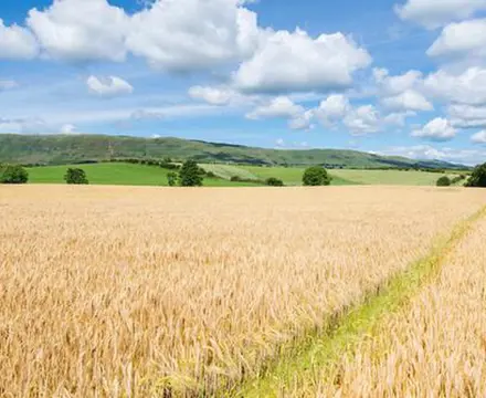 The Benefits Of Selling A Farm In Lots: Wetshod Farm 0 808X455