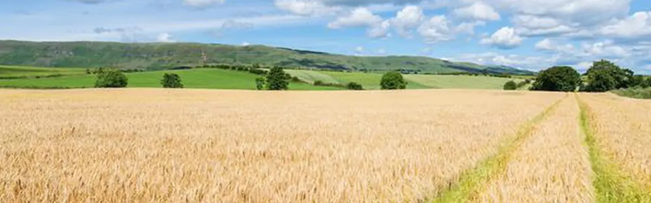 The Benefits Of Selling A Farm In Lots: Wetshod Farm 0 808X455