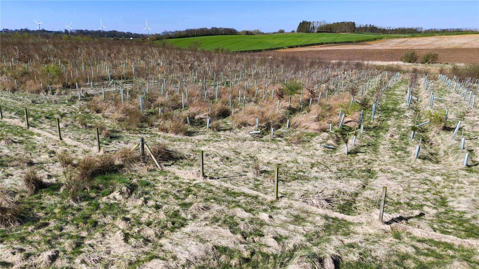 Land At Cauldhame