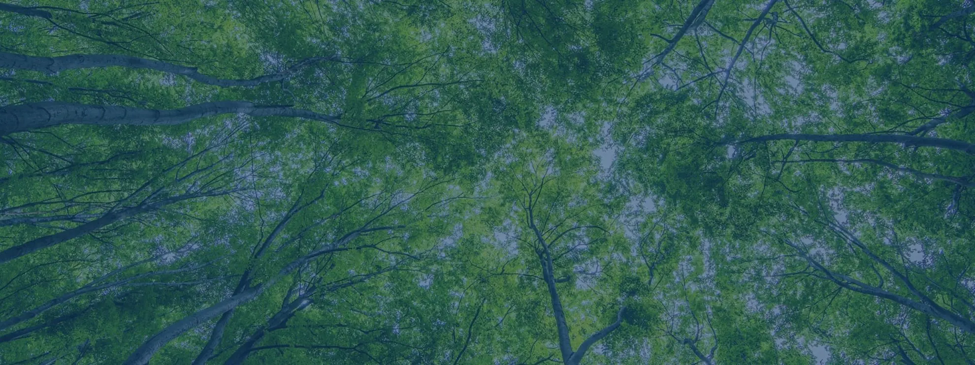 Forestry-Property-Banner