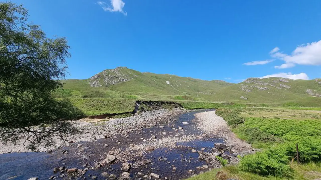 20210701 152623 808X455