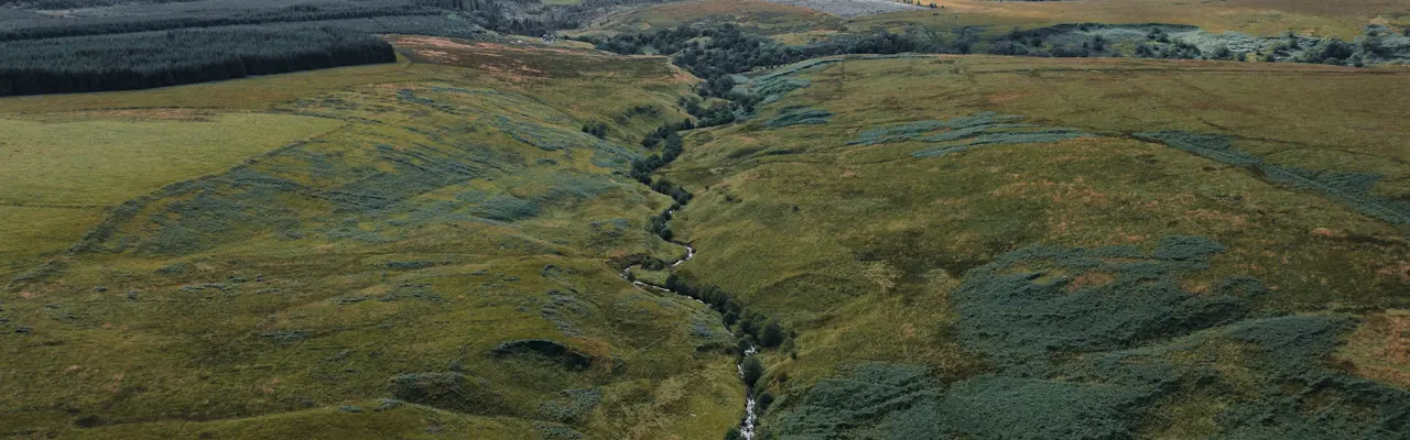 Galbraith Advises Oxygen Conservation On The Purchase Of Langholm Moor: DJI 0391