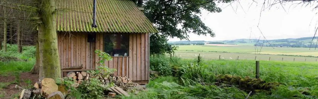 Hutting: A New Desire To Rediscover Some Old Ways: Hutting 808X455