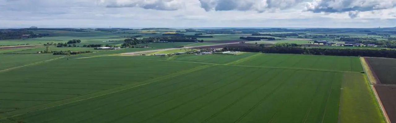 Productive Block of Arable Land Well Suited to Arable or Amenity Use: 1655129429 Lnd At Lammerview 2 808X455