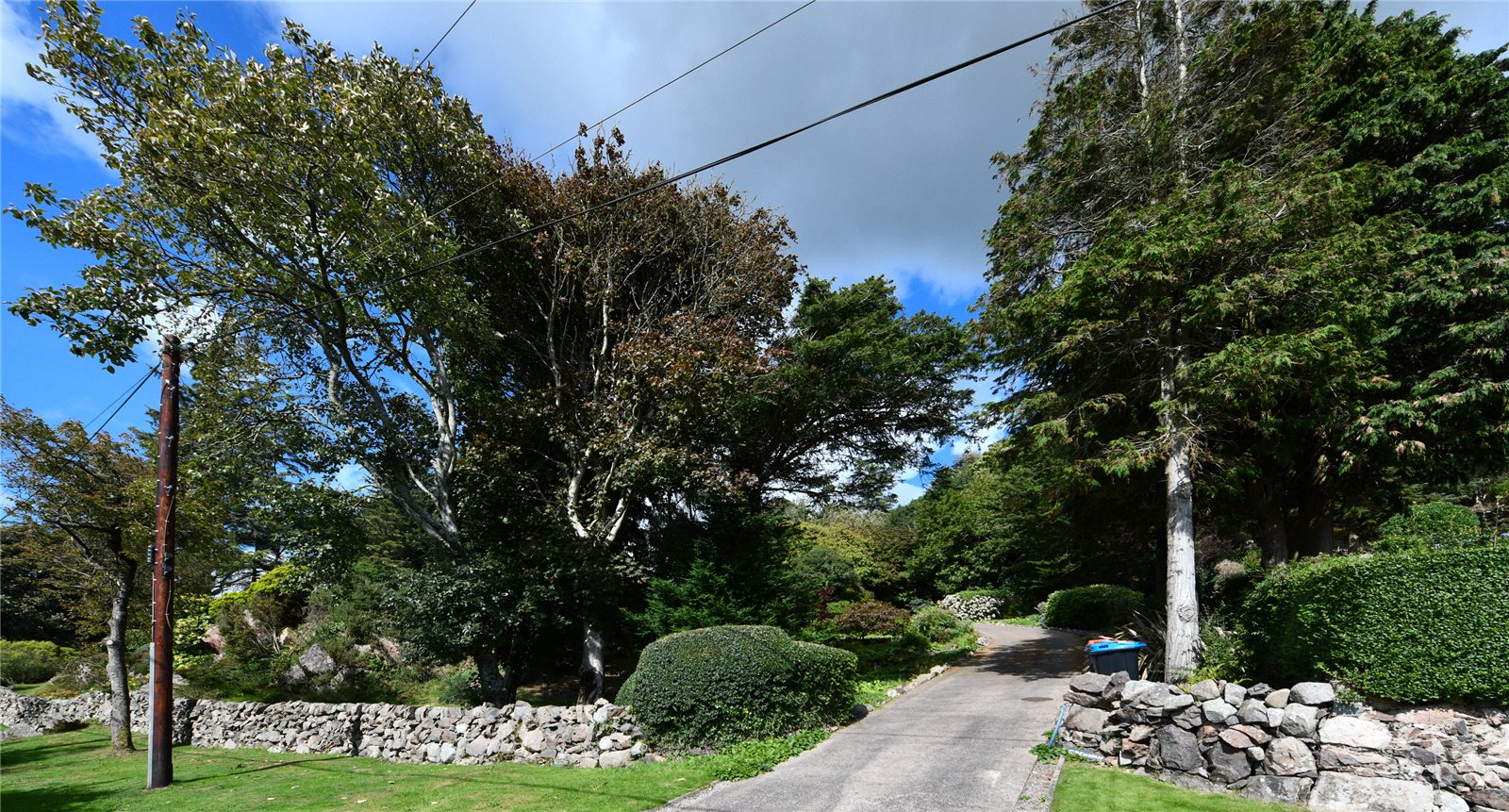 Driveway
