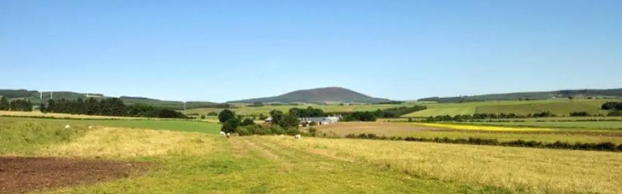 Two Productive Farms Brought To The Market In North East Scotland: ELG140157 0 808X455