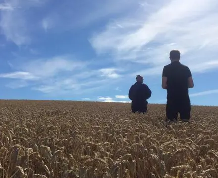 Amnesty on Tenants Improvements: Img 0776 808X455