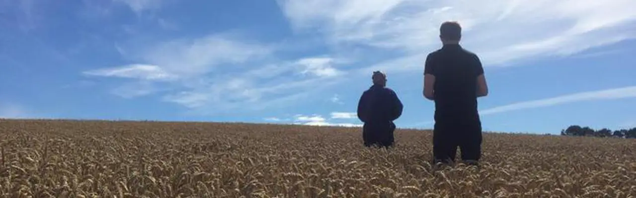 Amnesty on Tenants Improvements: Img 0776 808X455