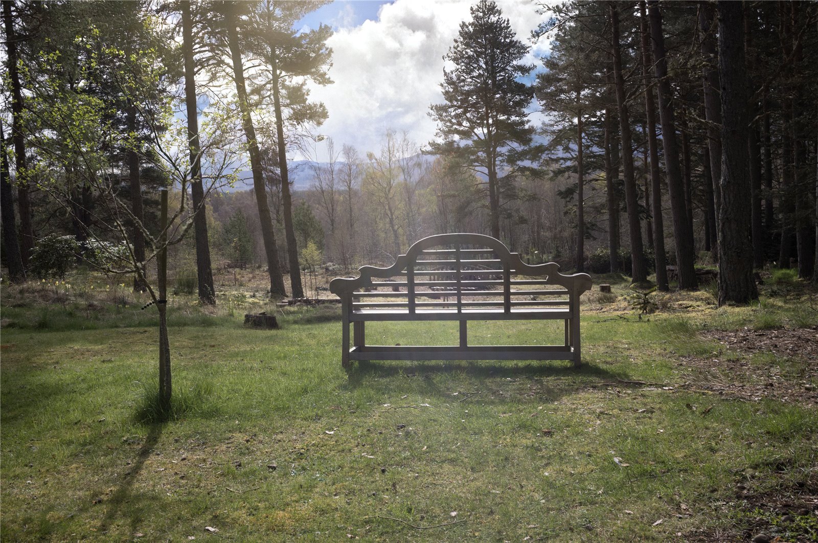 Plot At Sonas