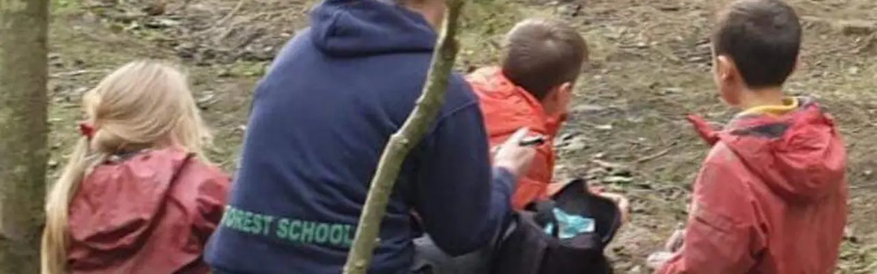 If you go down to the woods today…: 1574779172 Image1 808X455