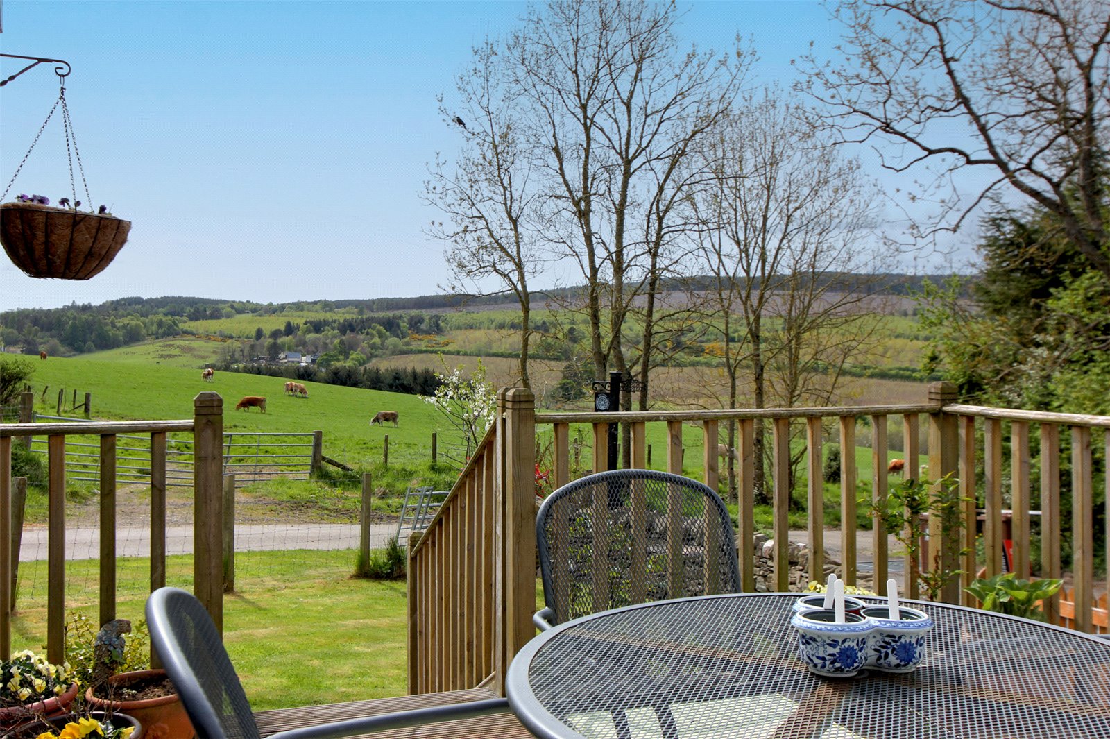 View From Wee House