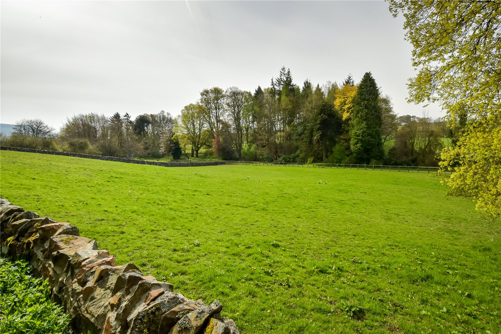 Paddocks