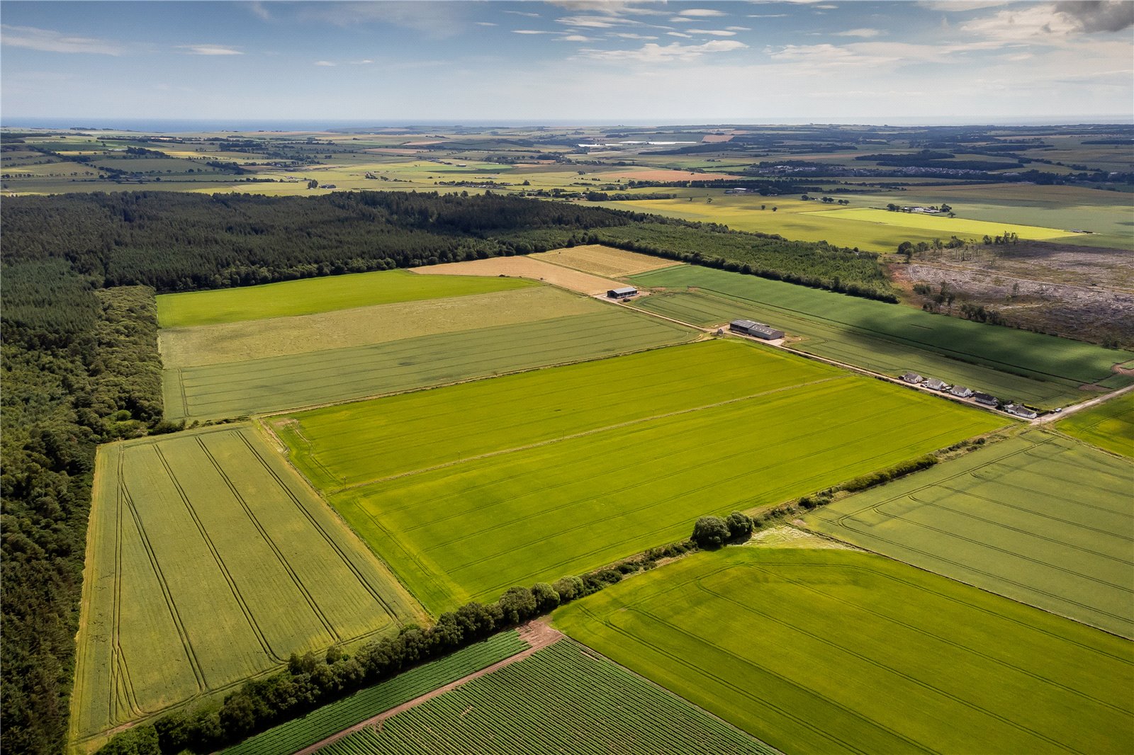 Greens Of Gardyne 4