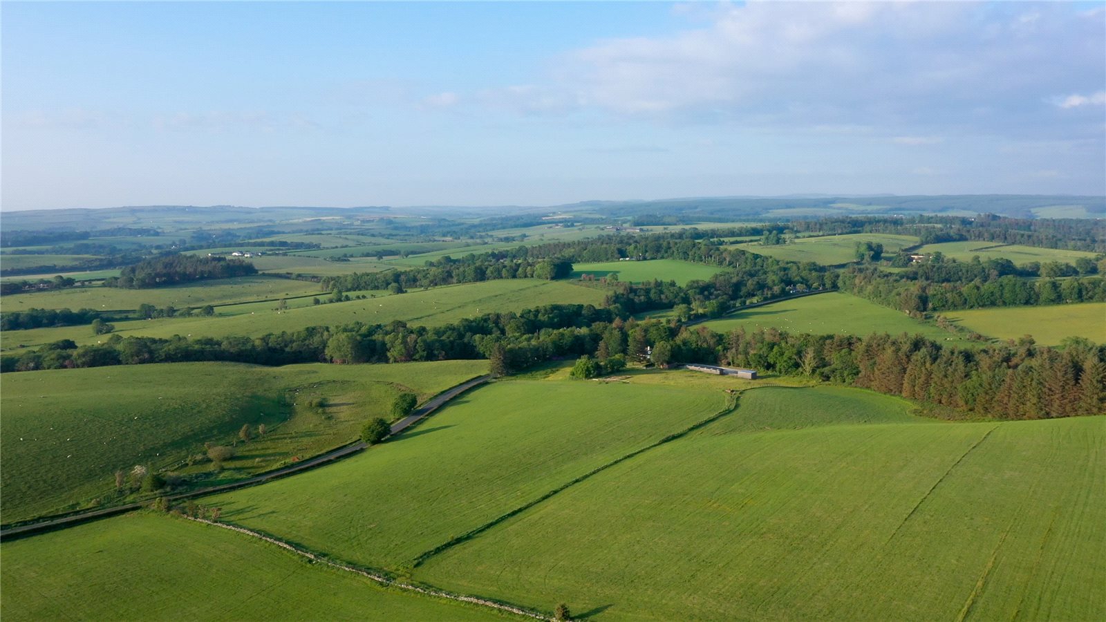 Aerial Photograph
