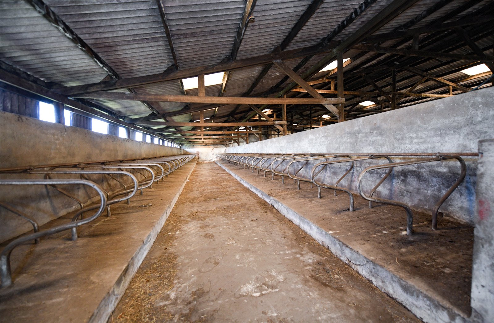Cubicle Shed