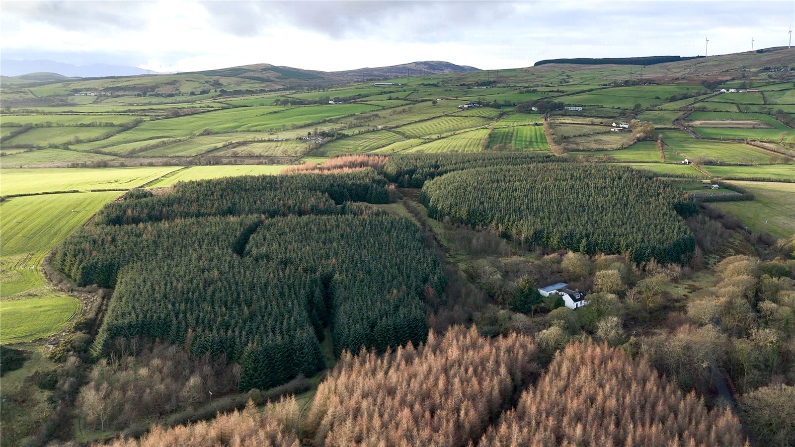 Drone Photograph