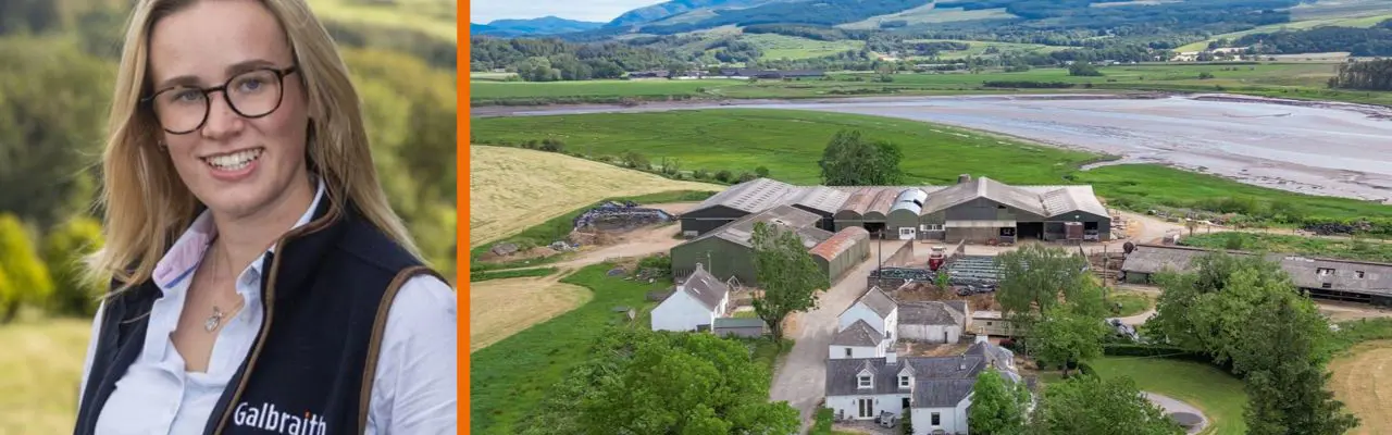Diverse farm and land with beautiful views: Rose Nash | Carsenestock Farm