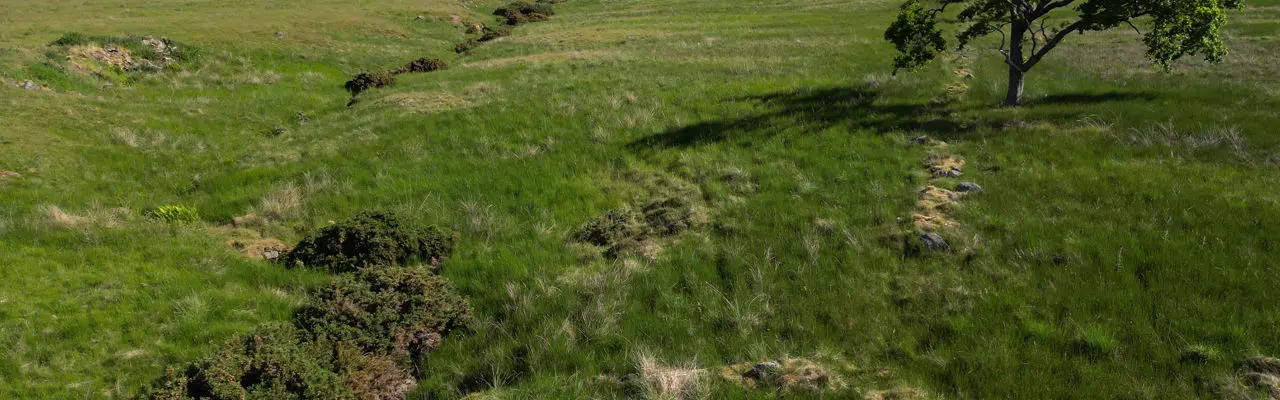 Productive block of grazing ground for sale within the Battle of Sherrifmuir battlefield: Land At Upper Whiteston Farm (3)