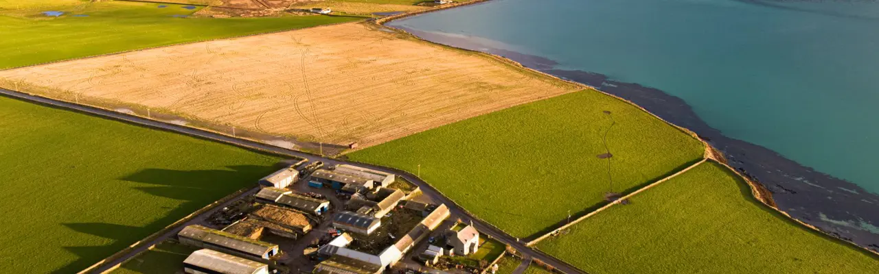 Two Orkney farms for sale with superb potential : How Farm | Orkney | Property News