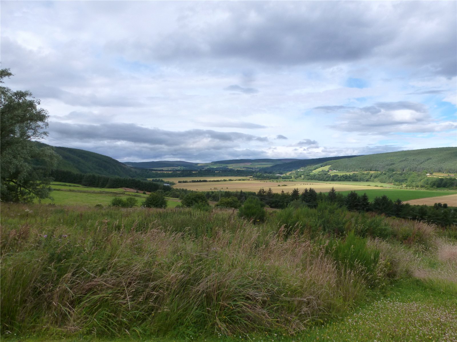 View