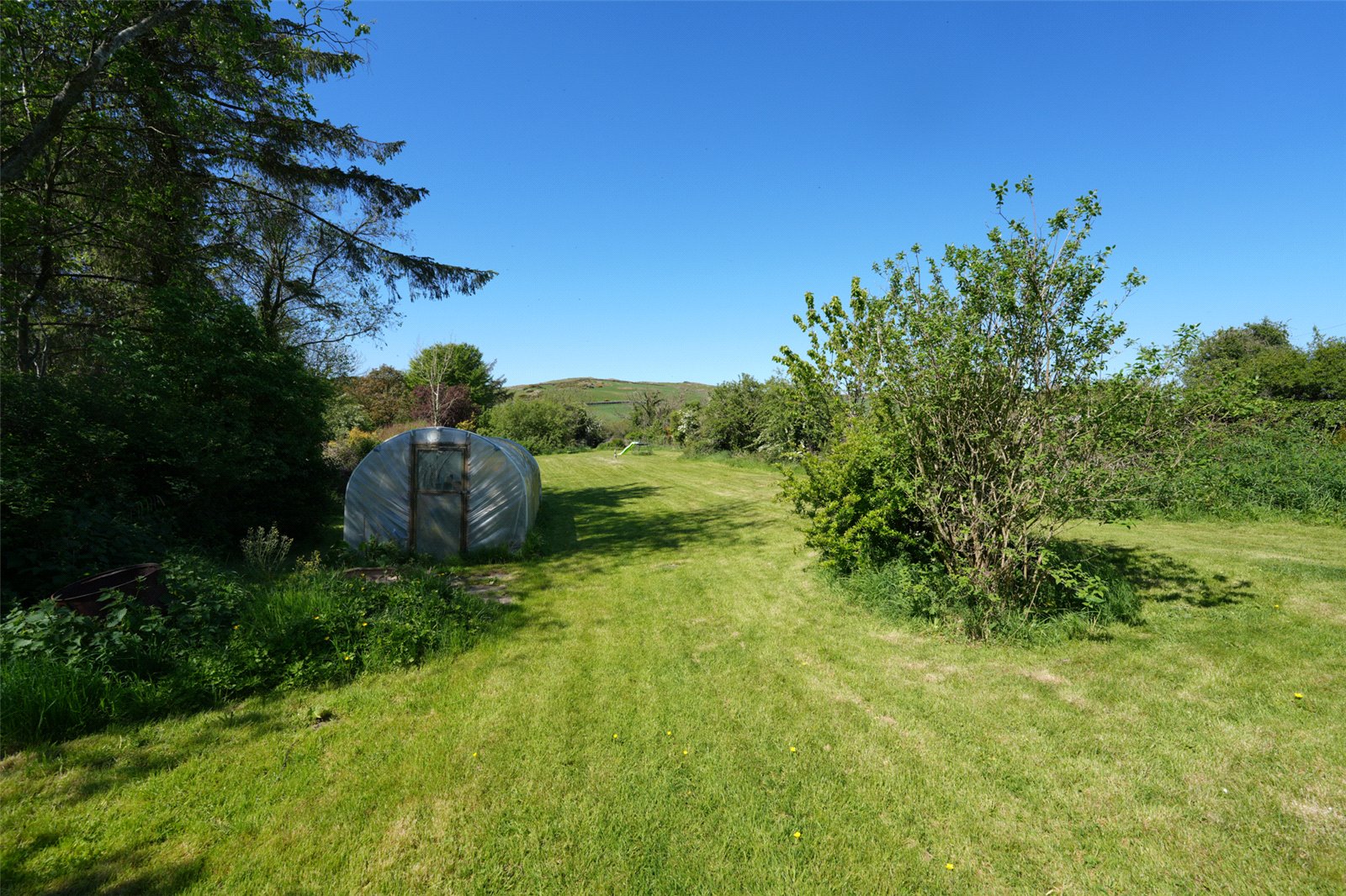 Garden & Polytunnel