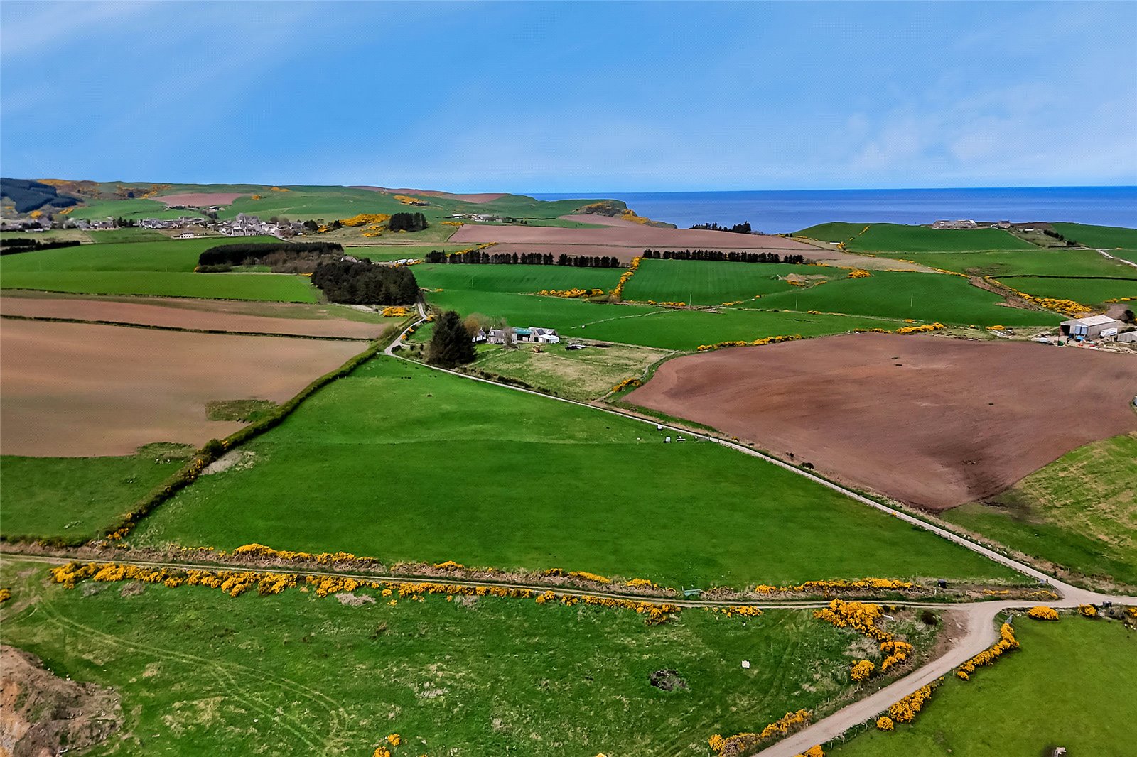 Drone Image