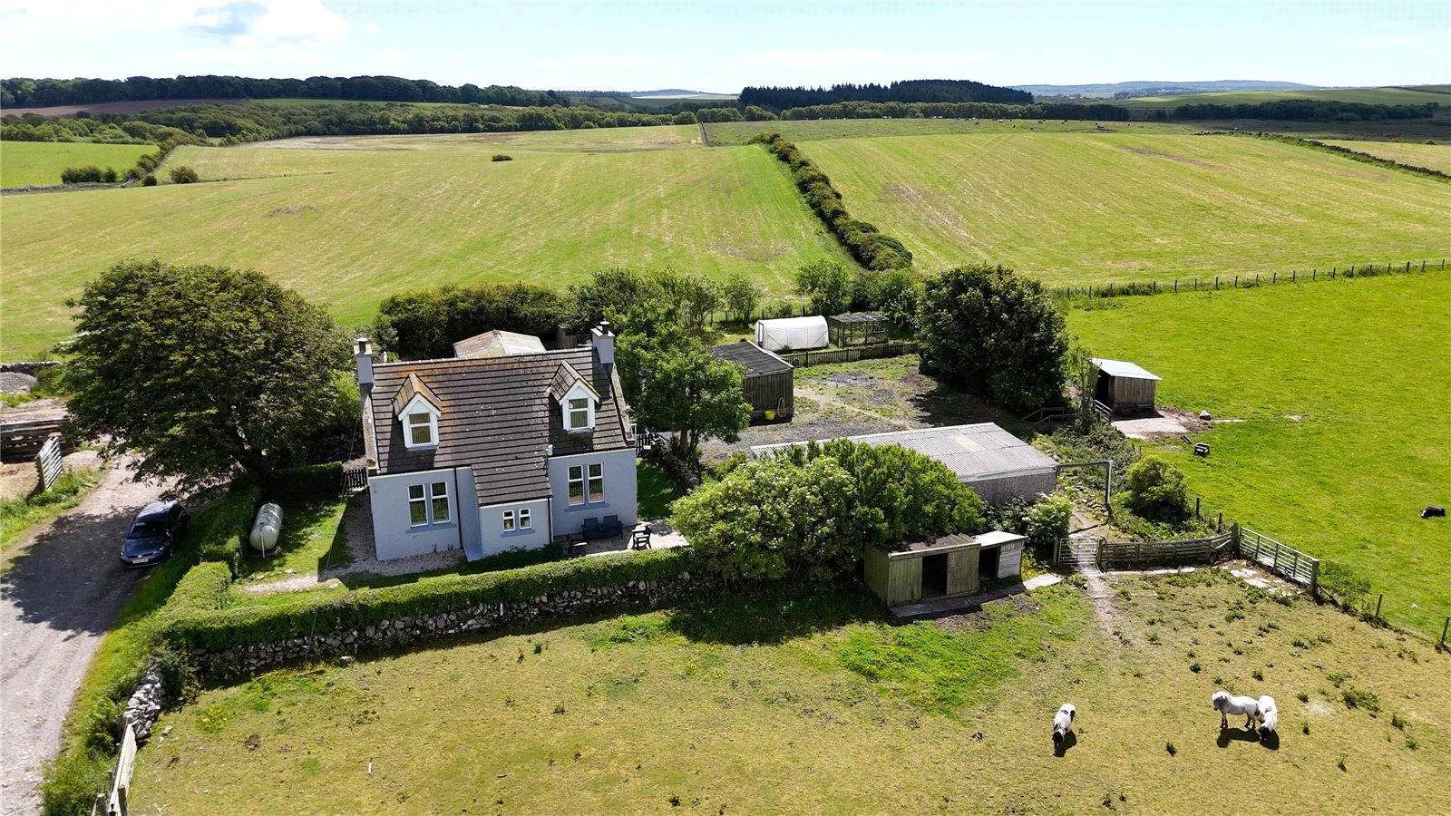 Aerial