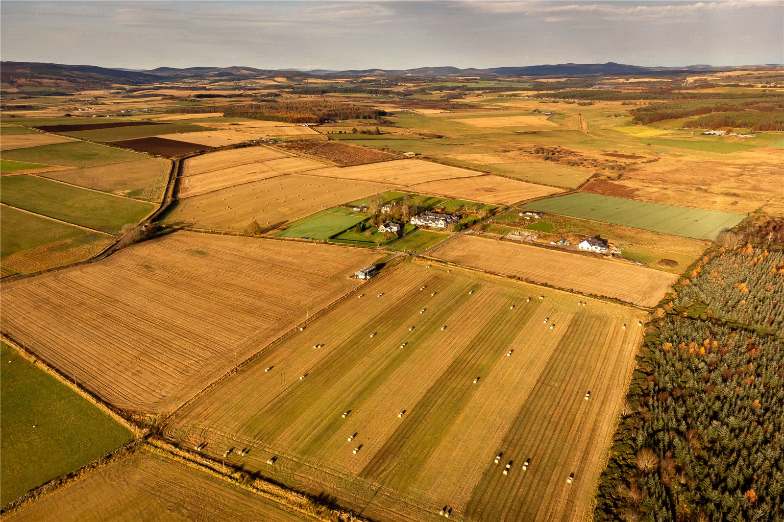 Land 10