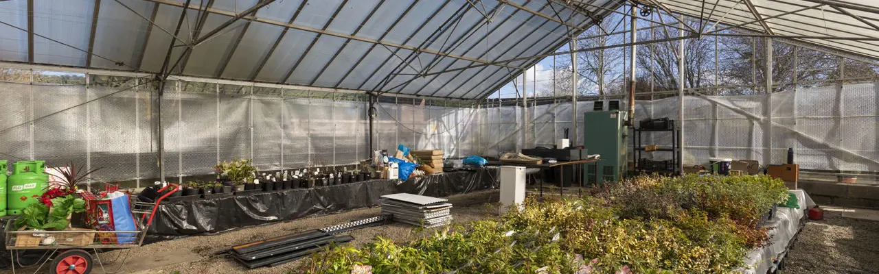 Sunnyside Up - Superb Opportunity To Run Established Garden Centre And Build Your Own House: Sunnyside Cottage Garden Centre 4