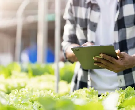 Apply now for farming grant scheme: Borders (2) (1)