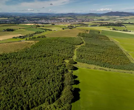 Block of mixed woodland for sale in Aberdeenshire : Lawel Hill Wood, Galbraith (1)