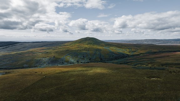 Langholm Moor