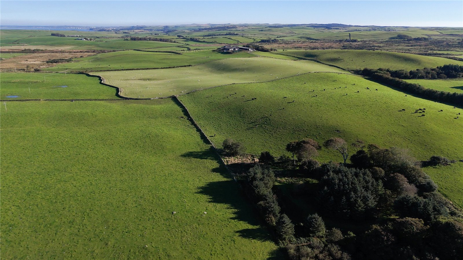 Land