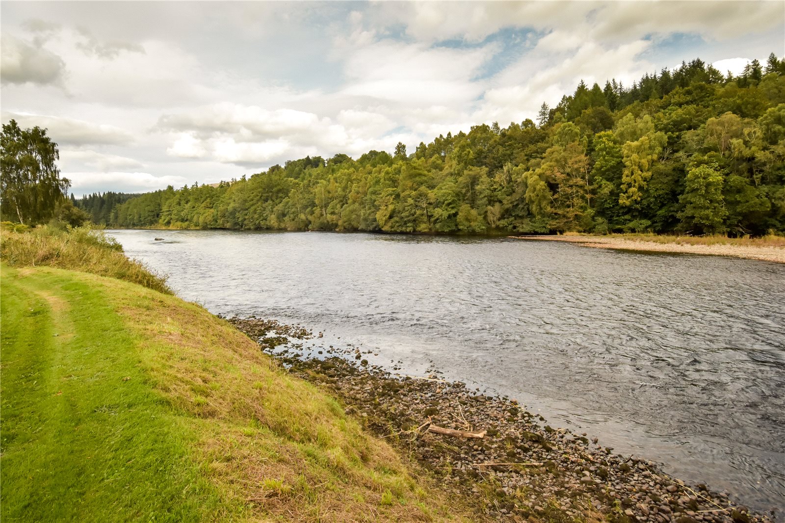 Dalguise Fishings