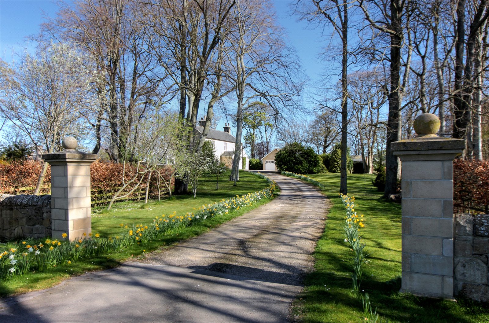 Coltfield Farmhouse
