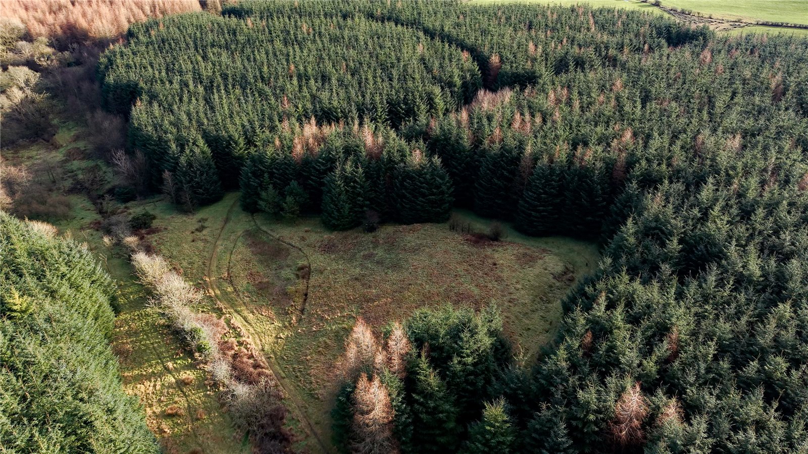 Drone Photograph
