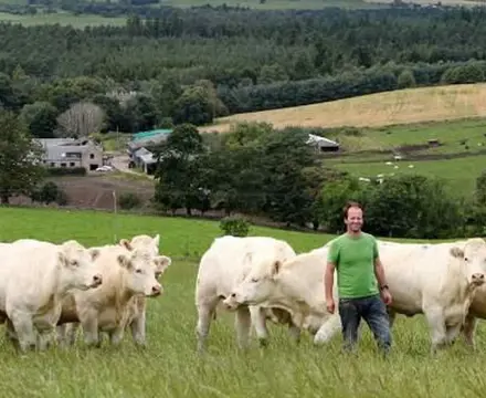 Lock, Stock and Three Herds Of Pedigree Cattle: Blelack Farm 0 808X455