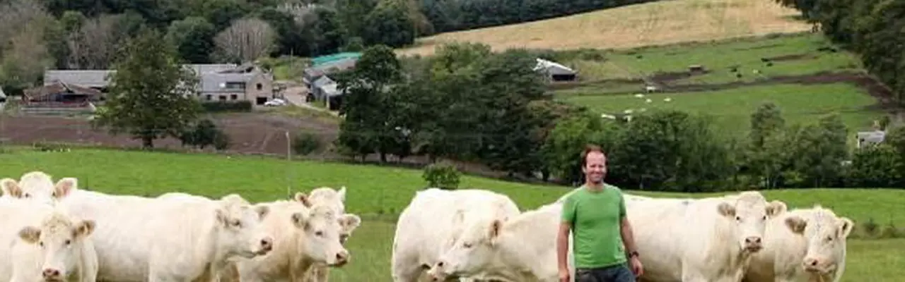 Lock, Stock and Three Herds Of Pedigree Cattle: Blelack Farm 0 808X455