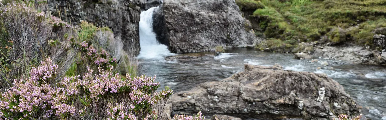 Natural capital update: Positive projects advance as land managers see environmental opportunities : Natural Capital update | Rose Nash