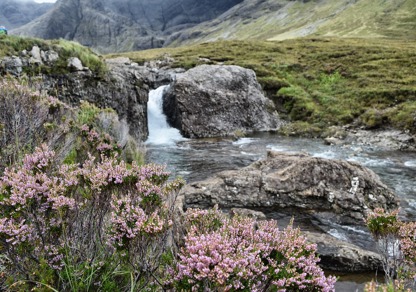 Natural Capital update | Rose Nash