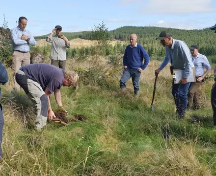 Natural capital update: Foresters hit the ground running to explore the soil and trees that form a big part of our future.: 1664285487 20220913 135016 808X455