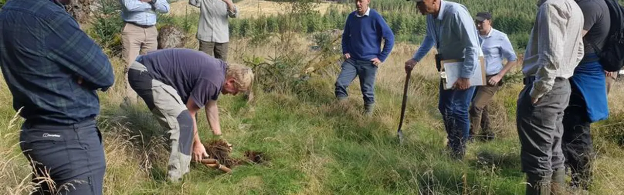 Natural capital update: Foresters hit the ground running to explore the soil and trees that form a big part of our future.: 1664285487 20220913 135016 808X455